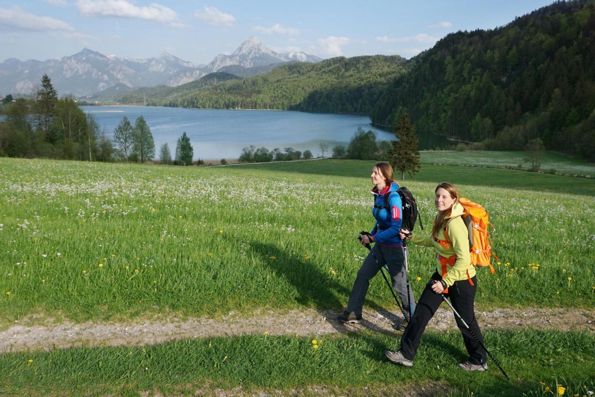 Ferienwohnung Alpenschau 普夫龙滕 外观 照片